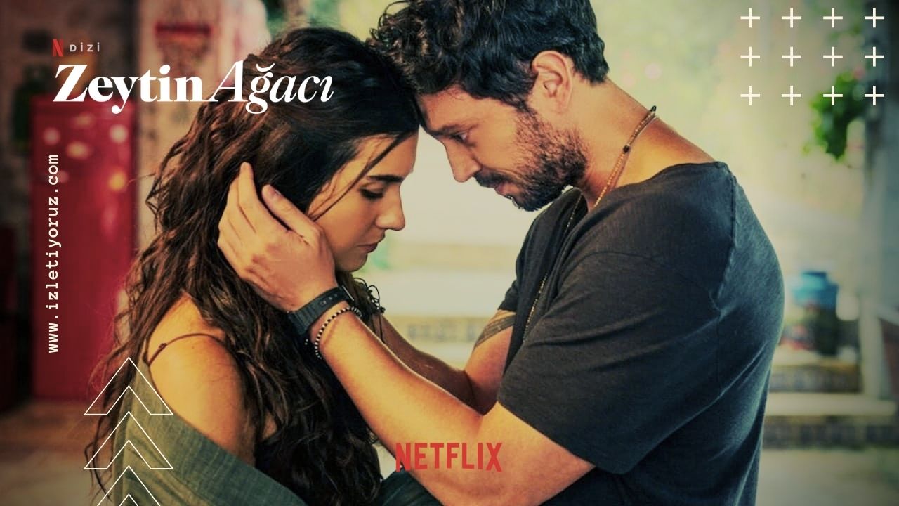 Zeytin Ağacı Netflix İzle